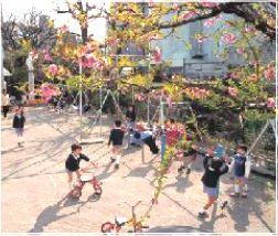 kindergarten ・ Nursery. Edamitsu Board 1108m to Komaba kindergarten