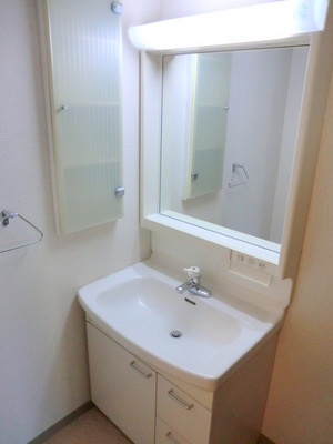Washroom. Popular independent wash basin in women