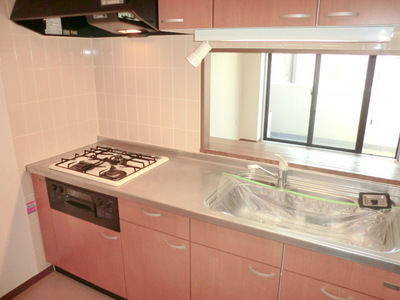 Kitchen. 3-neck gas system kitchen with grill Counter type of fashion