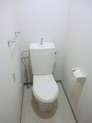 Toilet. It is a beautiful toilet