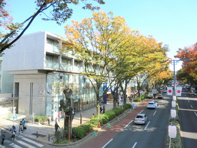 Other. 300m to Omotesando Hills (Other)