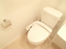Toilet. Toilet with storage shelf multi-function toilet seat