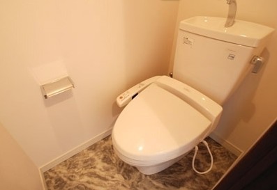 Toilet. Toilet