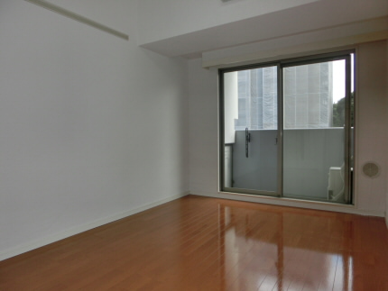 Living and room. Living