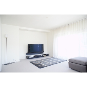 Living and room. Living (furniture will be removed)