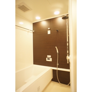 Bath. Bathroom (with dryer)