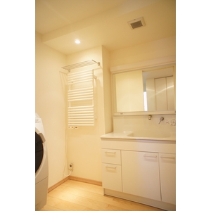 Washroom. Independent wash basin