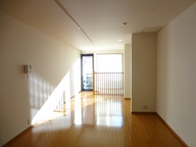 Living and room. Sunny