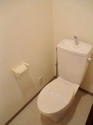Toilet. It is a beautiful toilet