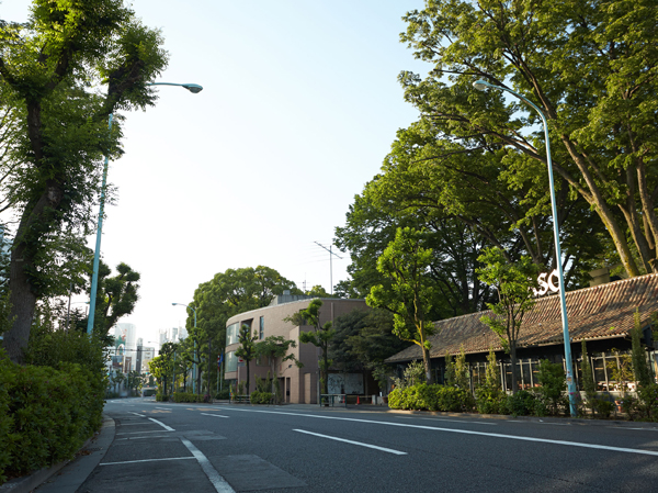 Surrounding environment. Old Yamate Street (about than local 240m)
