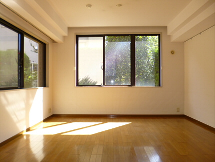 Living and room. Living