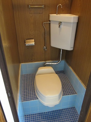 Toilet. There is Western-style toilet seat