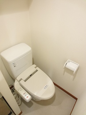 Toilet. Shower toilet!