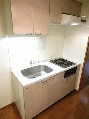 Kitchen. Wide sink adoption! Two-burner gas stove with grill!