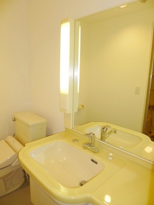 Washroom. Wash basin