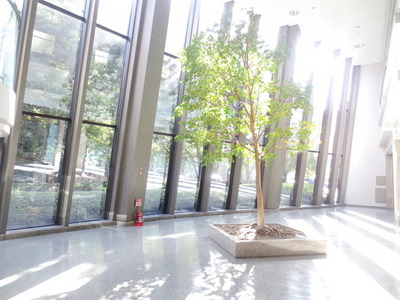Other common areas. Liberal Arts Hall