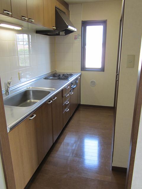Kitchen. System kitchen with gas three-necked grill