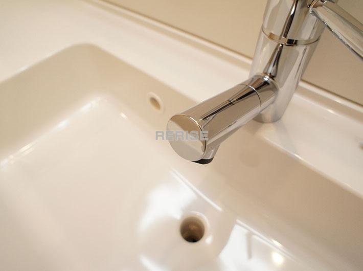 Kitchen. Vanity with a shower head