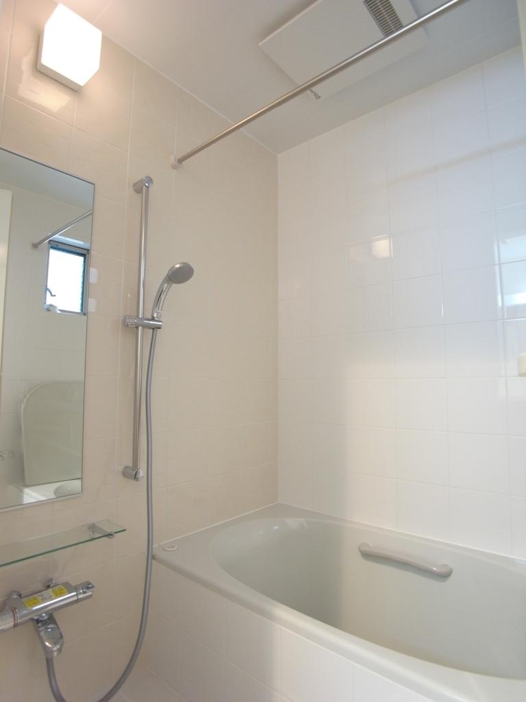 Bathroom. Indoor (12 May 2013) Shooting