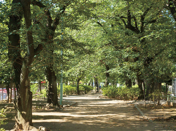 Surrounding environment. Tamagawa old waterway green road (about 180m ・ A 3-minute walk)