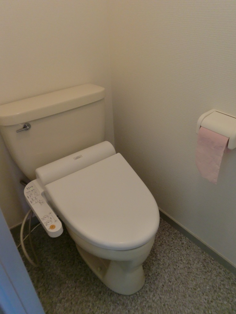 Toilet. ◆ Warm water washing toilet