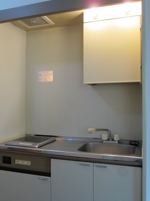 Kitchen. IH1-burner stove