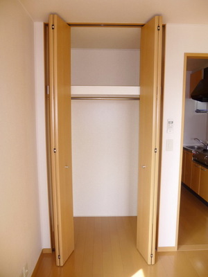 Other. closet