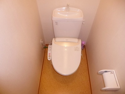 Toilet. Toilet