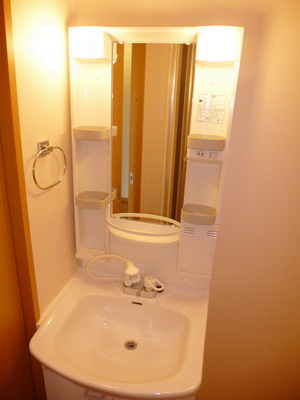 Washroom. Wash basin