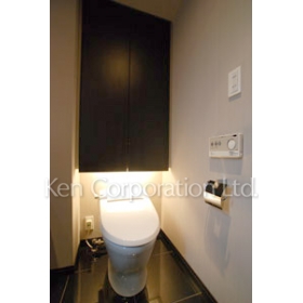 Toilet. Shoot the same type the eighth floor of the room. Specifications may be different.