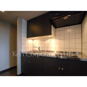 Kitchen. Shoot the same type the eighth floor of the room. Specifications may be different.