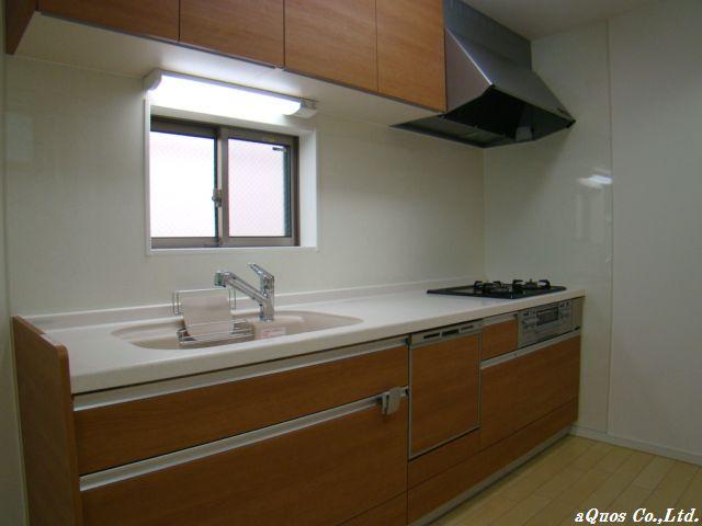 Kitchen. Indoor (11 May 2013) Shooting