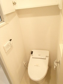Toilet. Toilet in the upper storage shelves have multi-function toilet seat