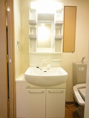 Washroom. Shampoo dresser equipped!