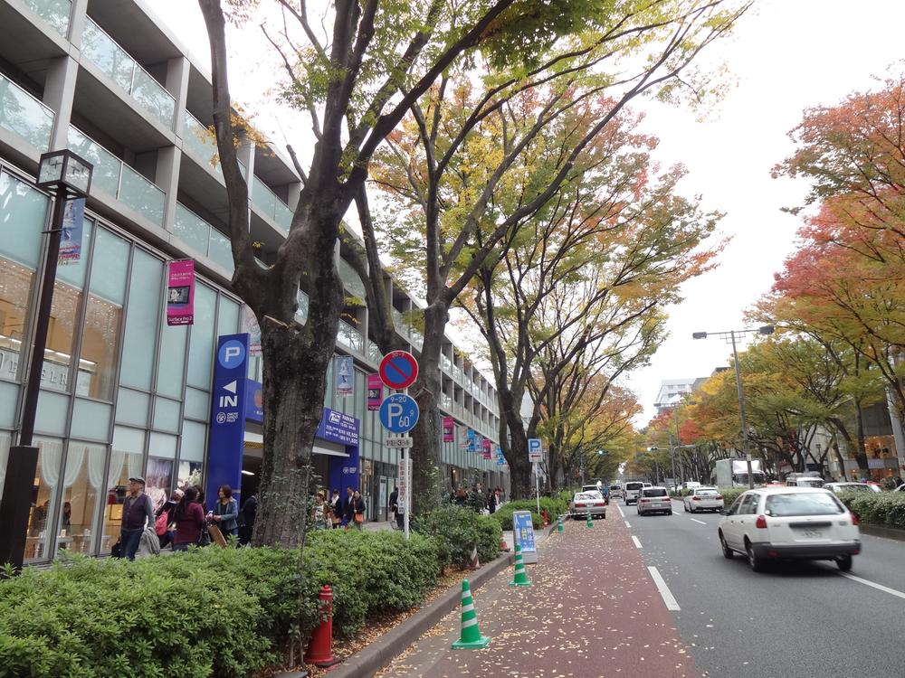 Other. Omotesando also walk course! Feel free to GO to the Hills! 