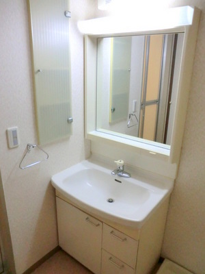 Washroom. Popular independent wash basin in women