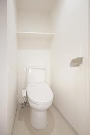 Toilet. Warm water washing toilet seat