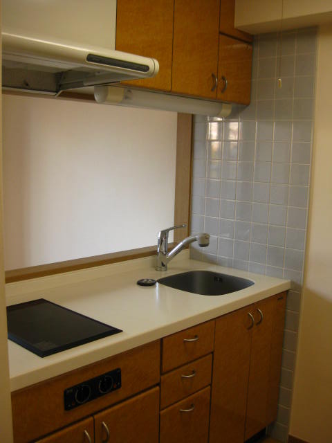Kitchen. Functional kitchen