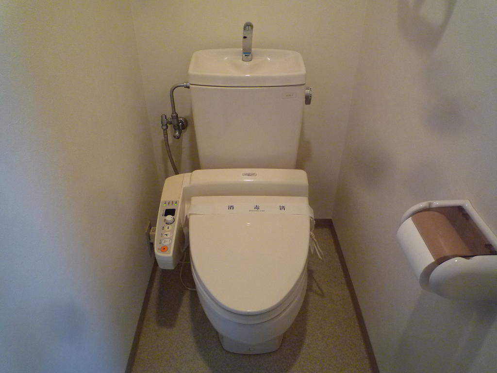 Toilet. Toilet (Washlet)