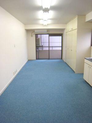 Living and room. It is a photograph of another room