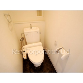 Toilet. Shoot the same type the fourth floor of the room. Specifications may be different.