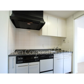 Kitchen. Shoot the same type the fourth floor of the room. Specifications may be different.