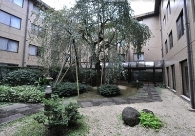 Other. 100 years old blind Sakura