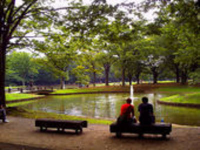 Other. Yoyogi park