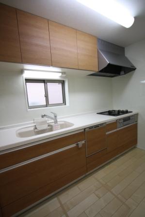 Kitchen. This is a system kitchen with a dishwasher!