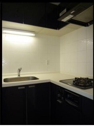 Kitchen. L-shaped kitchen