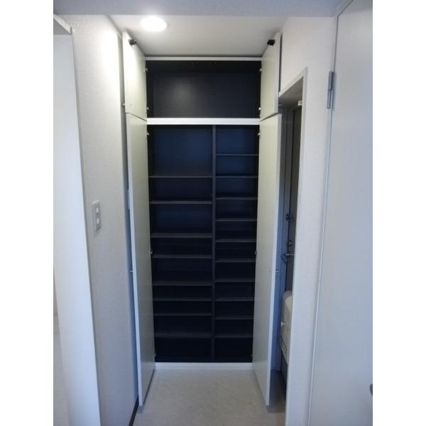 Other introspection. Entrance storage