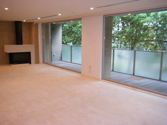 Living and room. Penthouse