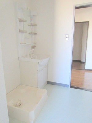 Washroom. Independent wash basin and functional water around