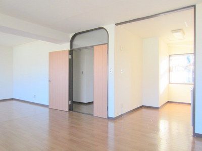 Living and room. Room of a clean flooring